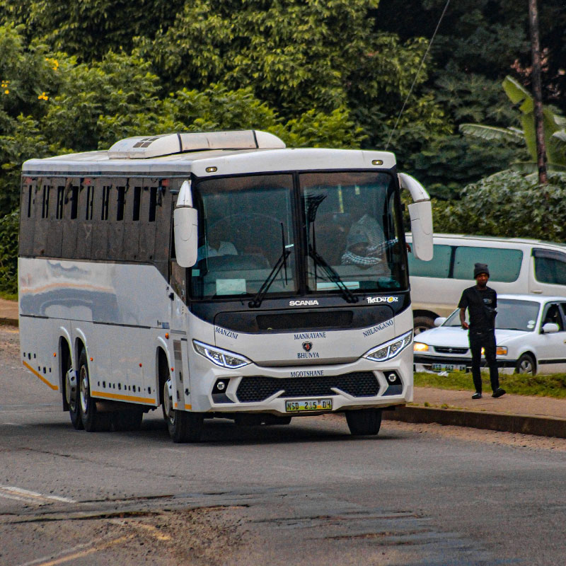 Best Bus offers