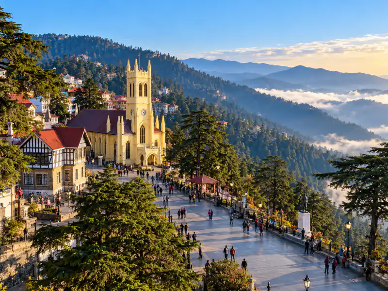 Shimla Pinewood Short Escape
